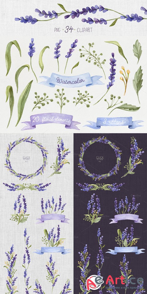 Creativemarket - Watercolor set with Lavender Flowers 272472