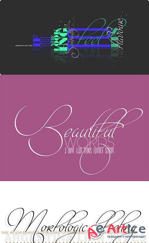 Intima Script Font Family - otf