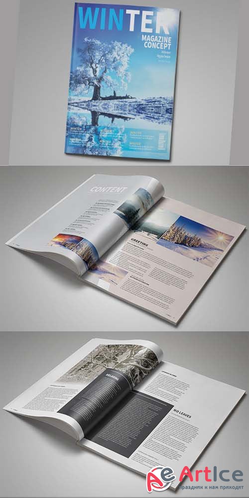 InDesign Magazine Template