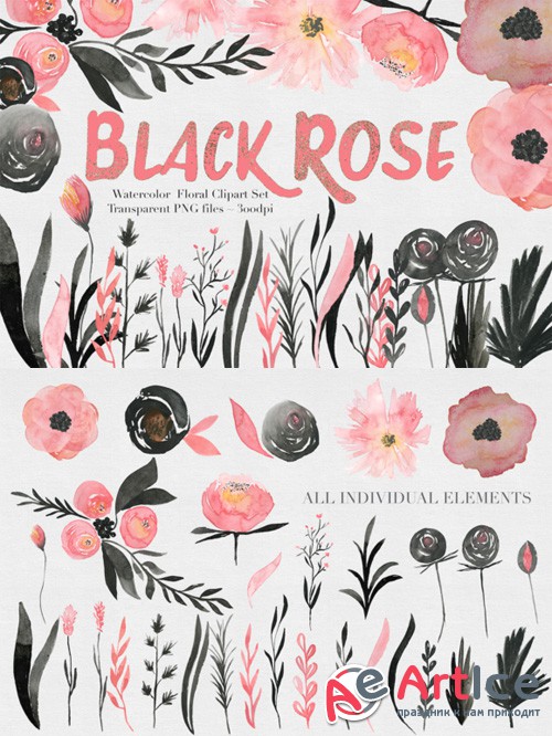 Black & Pink Rose Watercolor Set - Creativemarket 515844