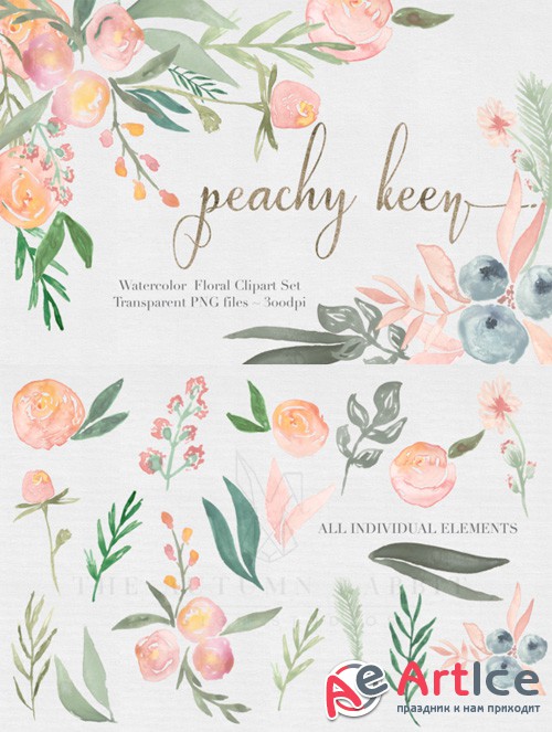 Peachy Keen Watercolor clipart Set - Creativemarket 476836