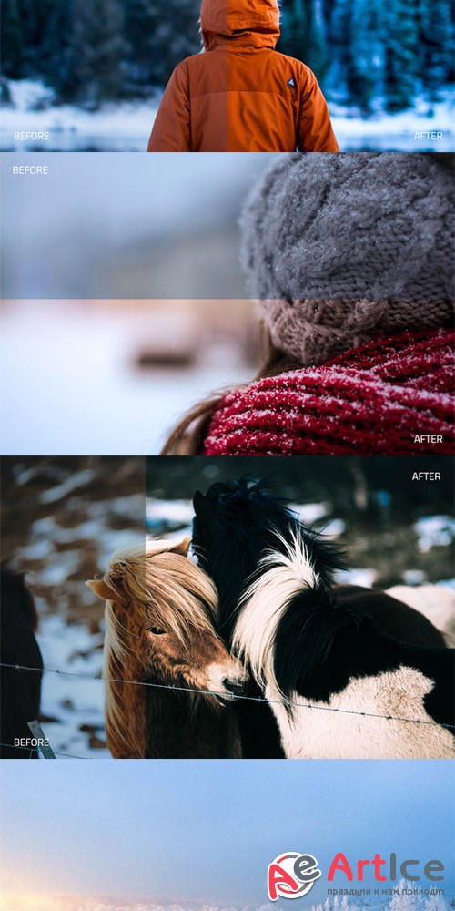 Wintertone Lightroom Presets - Creativemarket 522345