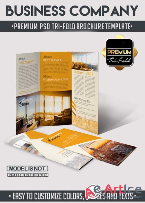 Business Company Tri-Fold Brochure PSD Template