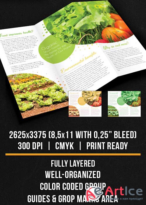 Organic Food Tri-Fold Brochure PSD Template