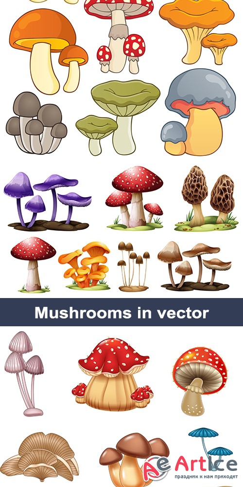    | Vector clipart Mushrooms