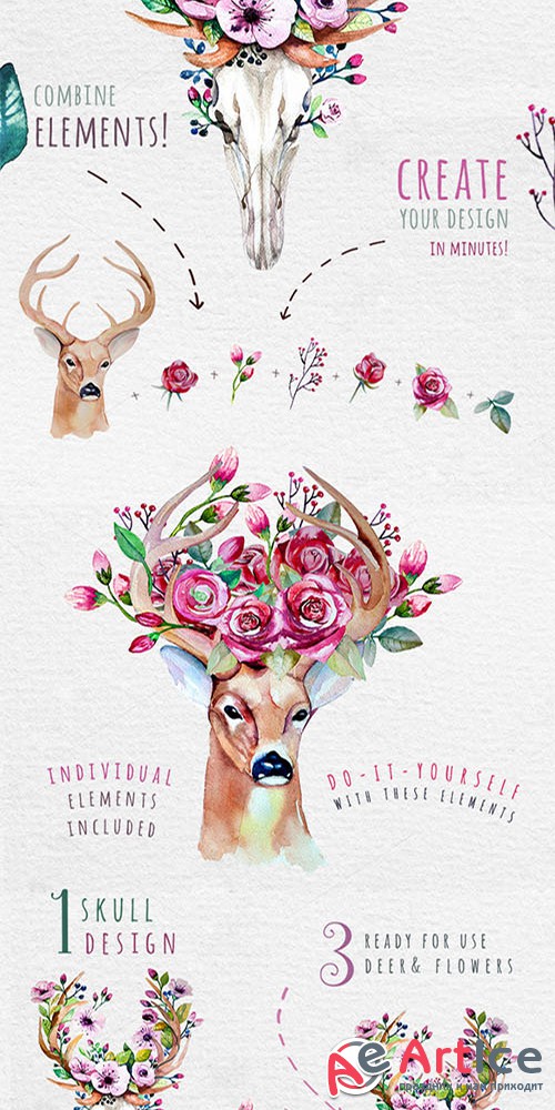 Deer, skull & floral - Creativemarket 334111