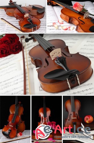 Violin (musical instrument) the images