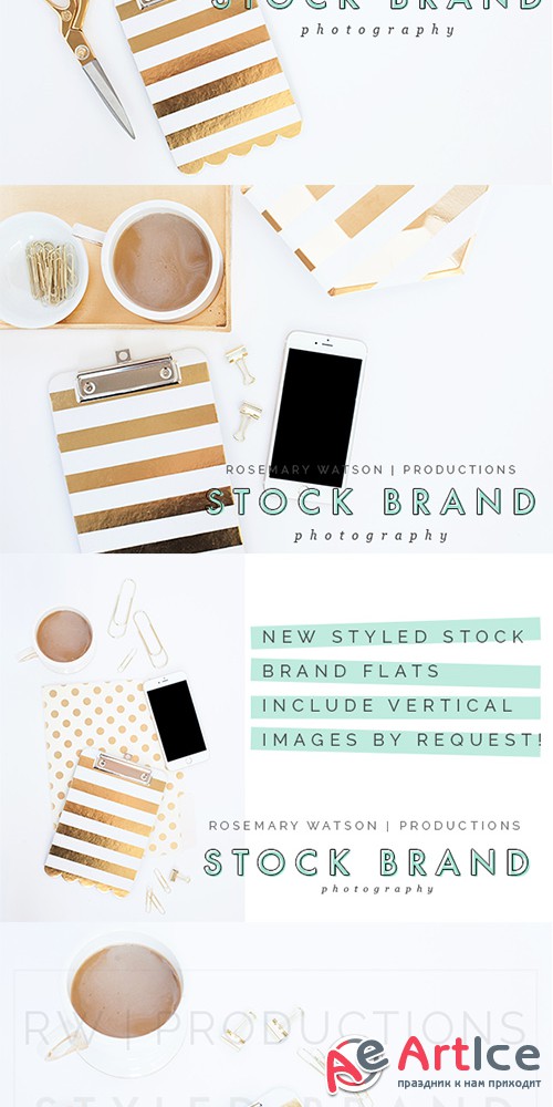 Goldwyn Styled Stock Brand Flat Set - Creativemarket 388087