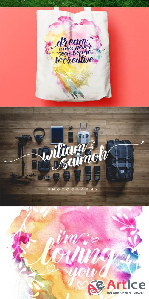 Hello Lary + Ornament and Swashes - Creativemarket 557568