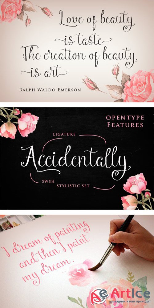 Manny Script Font - Creativemarket 267414