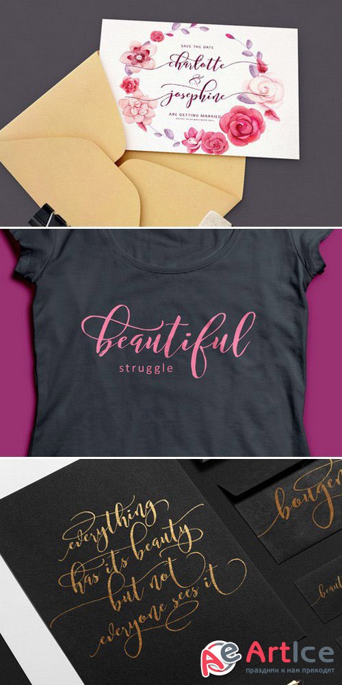 Bougenville Script Font - Creativemarket 430341