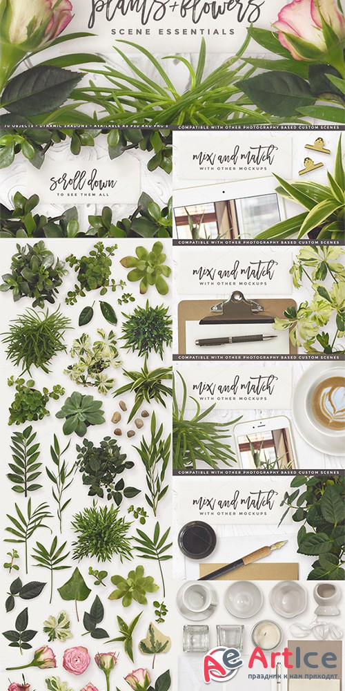 Essential Plants & Flowers - Creativemarket 578140