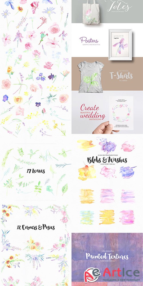 Watercolor Flower Pack - Creativemarket 381960