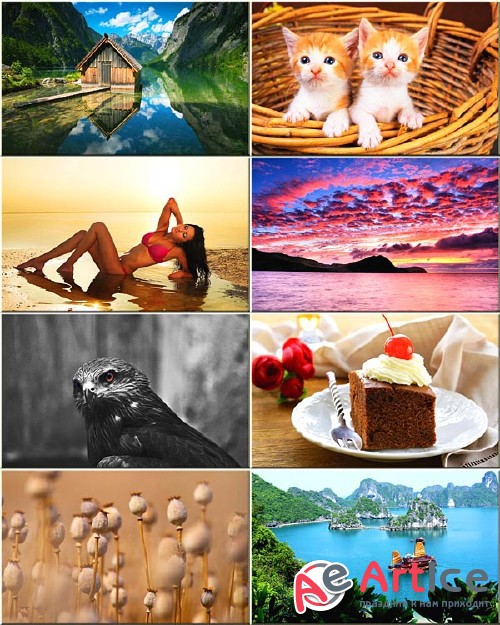 Best Mixed Wallpapers Pack #254