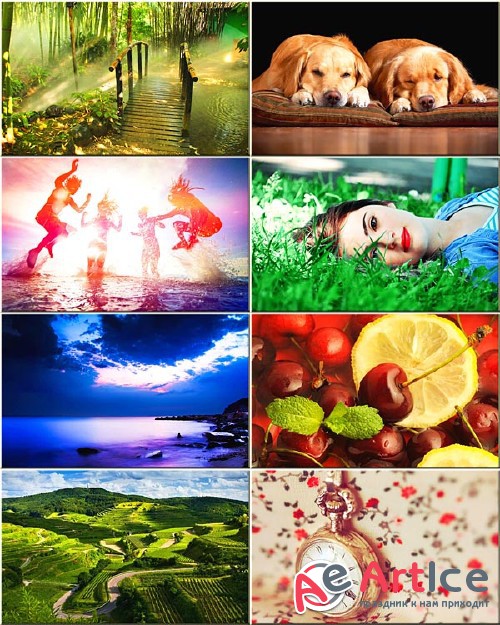 Wallpapers Mixed Pack #266