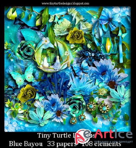 24  c-  Tiny Turtle