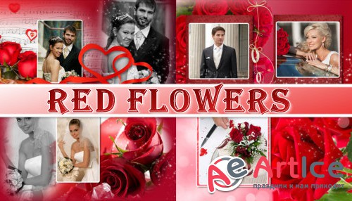 Red flowers - project for ProShow Producer