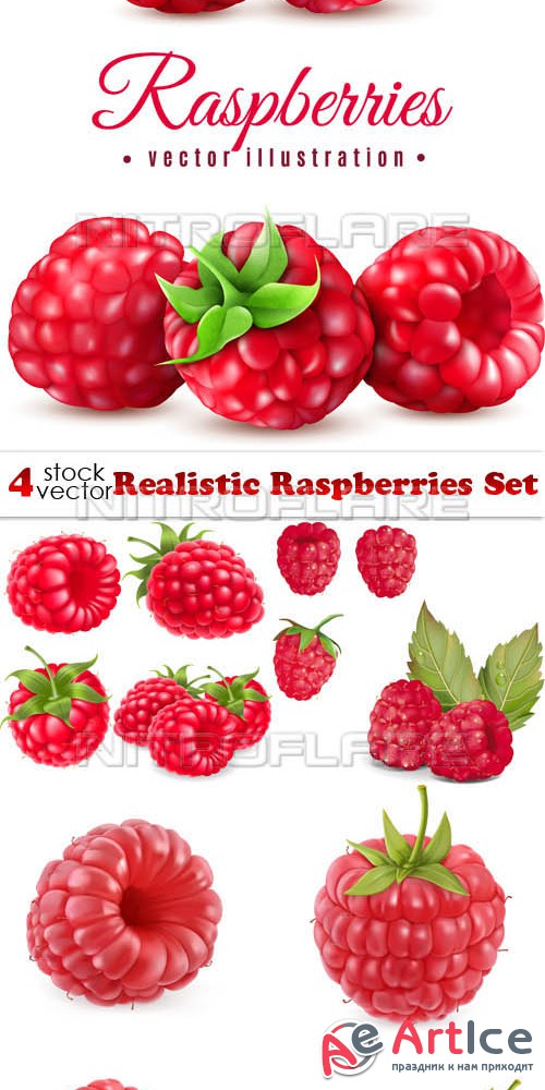 Vectors - Realistic Raspberries Set