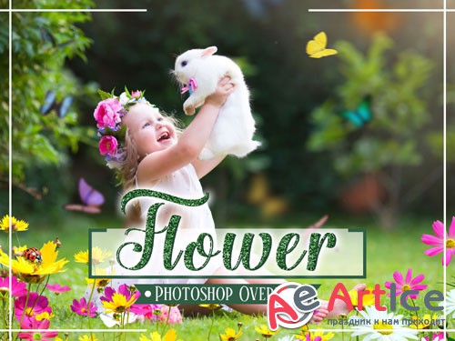 Flower Photo Overlays