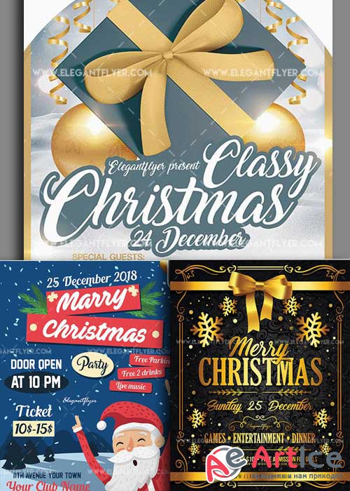 Christmas Flyer V15 3in1 Flyer Template