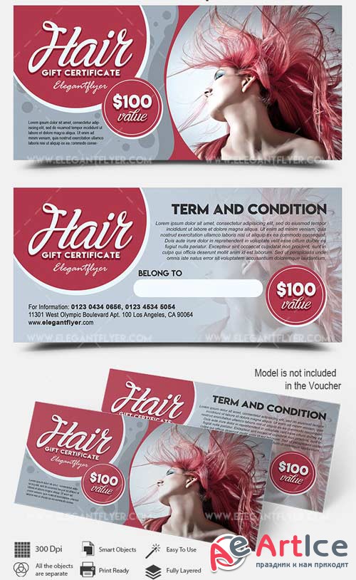 Hair V3 2018 Premium Gift Certificate PSD Template