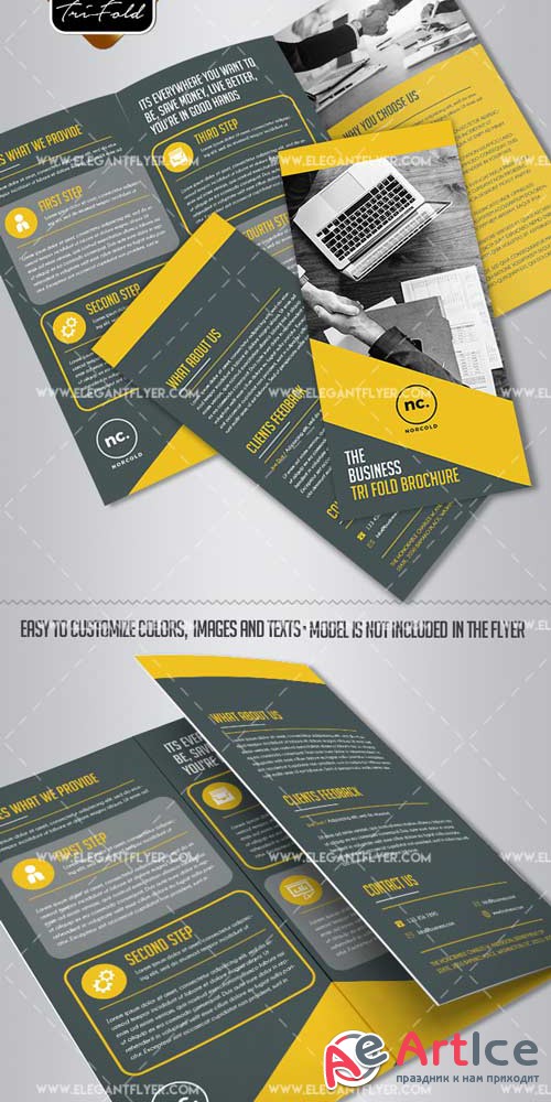 Business V21 2018 Tri-Fold Brochure PSD Template