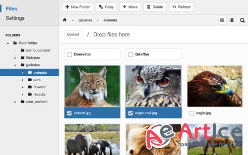 FILEman v3.1.4 - Best File & Media Manager Extension For Joomla