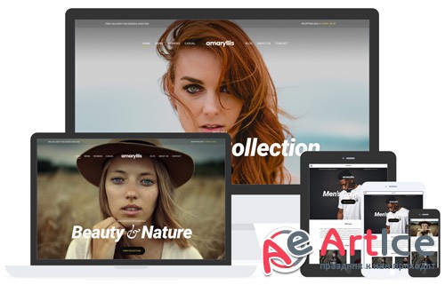 CSSIgniter - Amaryllis v1.9 - WordPress Theme