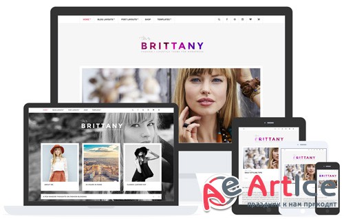 CSSIgniter - Brittany v1.6 - WordPress Theme