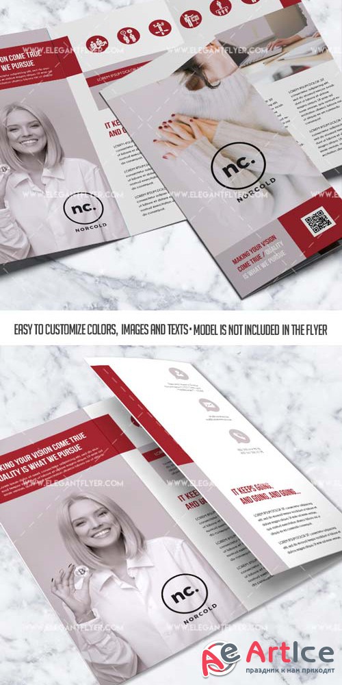 Business V45 2018 Tri-Fold Brochure PSD Template