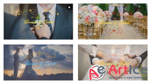  ProShow Producer - Wedding Title Pack 4