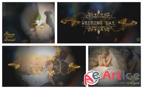  ProShow Producer - Wedding Title Pack 6