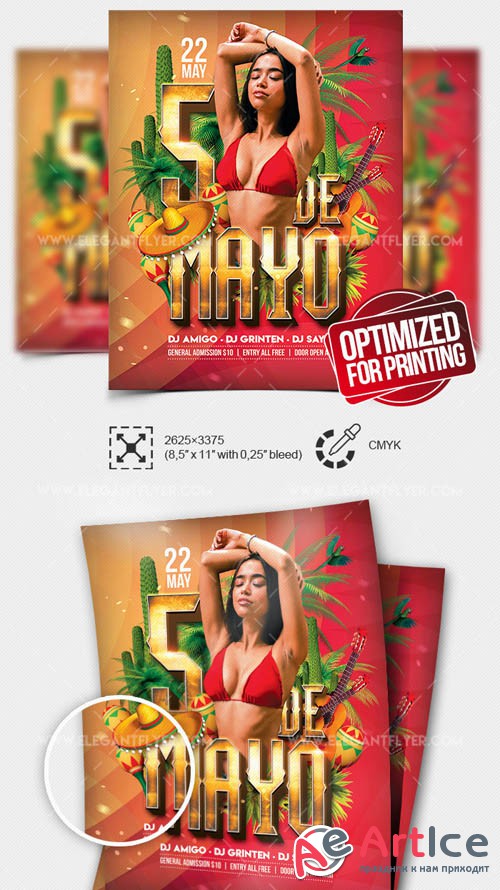 Cinco de Mayo Party V17 2019 Flyer PSD Template